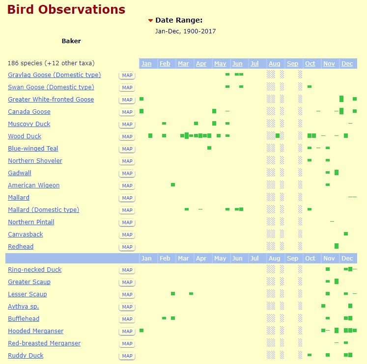 Baker county bird observations